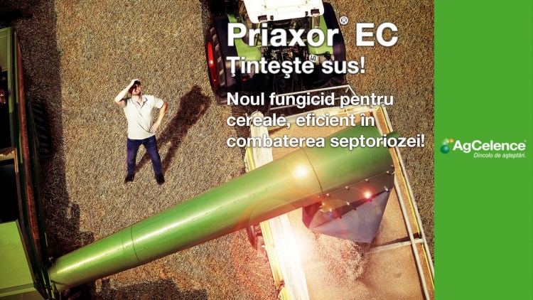 fungicid priaxor
