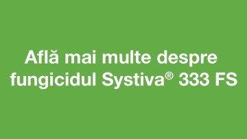 Systiva® 333 FS