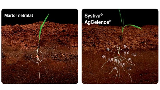 systiva radacini comparatie