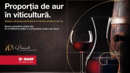 Povești cu vinuri românești