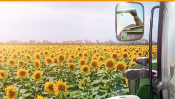 tehnologia clearfield plus basf floarea-soarelui