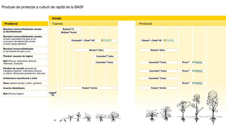 produse protectie rapita basf