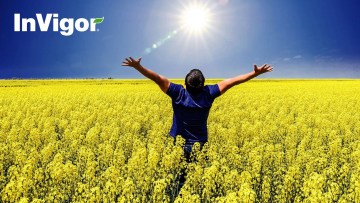 Ce spun fermierii români care au cultivat rapiță InVigor®