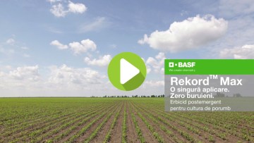 VIDEO: Părerile fermierilor