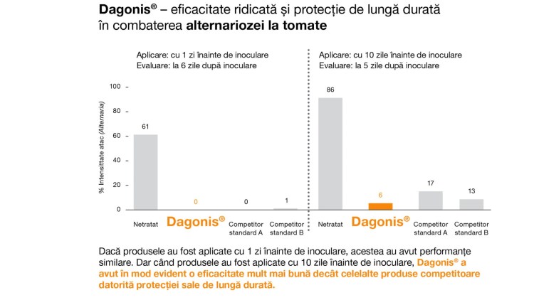 eficacitate dagonis tomate