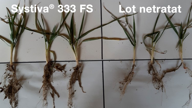 teste comparative agrovet