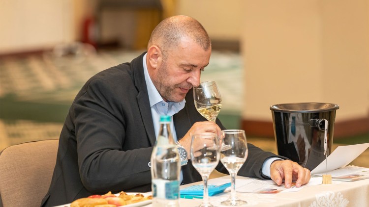 degustare concurs vinuri