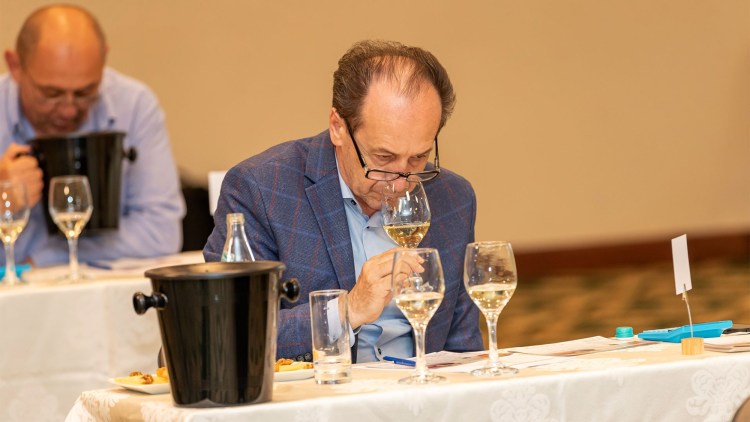 degustare concurs vinuri