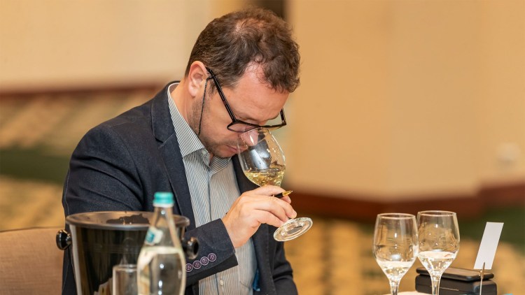 degustare concurs vinuri