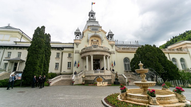 gala vinuri