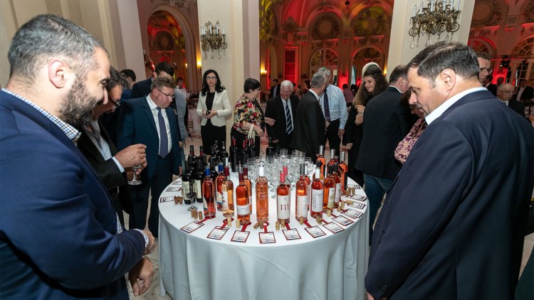 gala vinuri basf