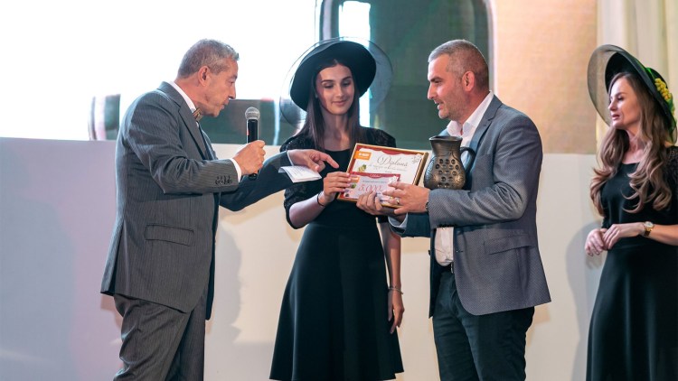 castigatori concurs vinuri