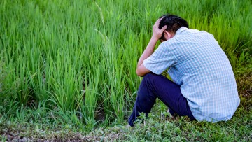 produse de protectie a plantelor