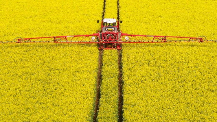 fungicide rapita
