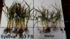 systiva agrotur