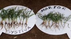 systiva agrotur