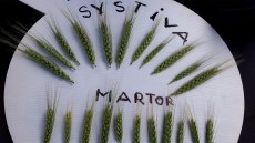 plantagro systiva