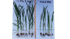 plantagro systiva