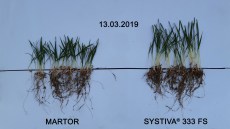 plantagro systiva