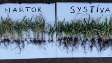 plantagro systiva