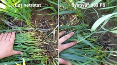 plantagro systiva