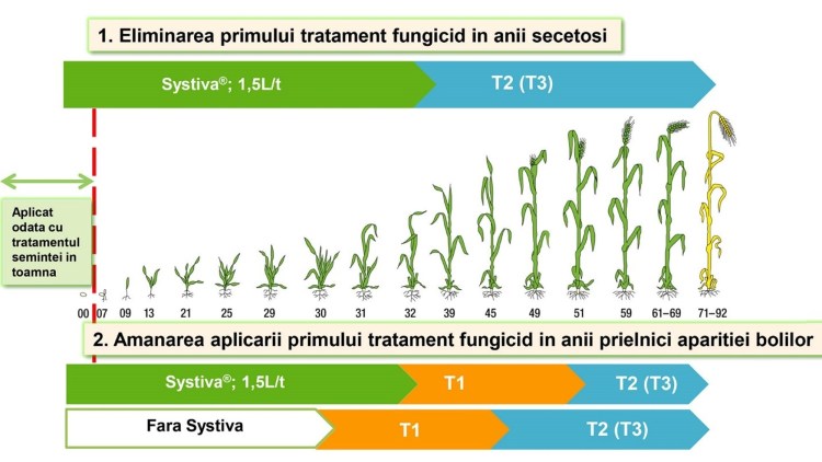 systiva plan tratament