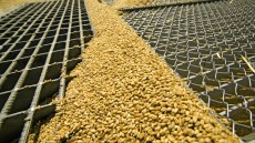 acceptarea tranzacționării cerealelor)