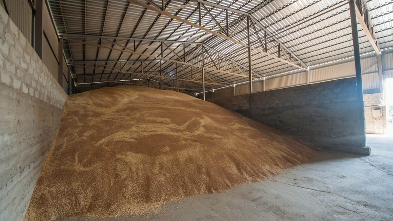 Cum se face depozitarea corectă și în bune condiții a cerealelor peste iarnă