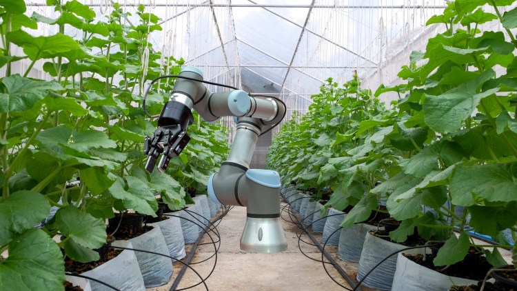 agricultura viitorului