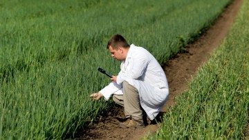 anul plantelor in romania