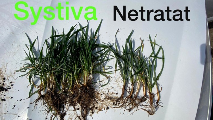 systiva
