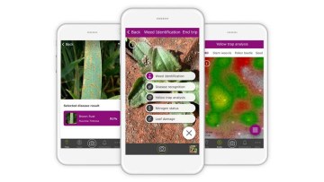 Soluții digitale de la BASF