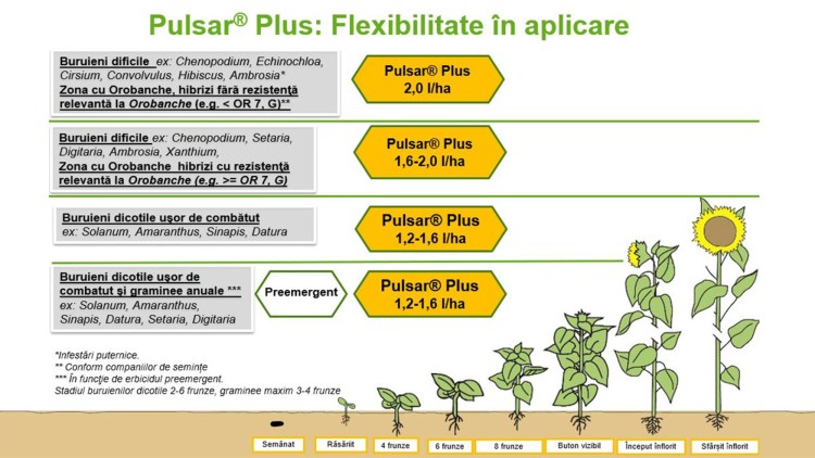 flexibilitate Pulsar Plus