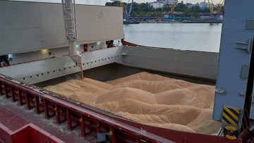 exporturi cereale