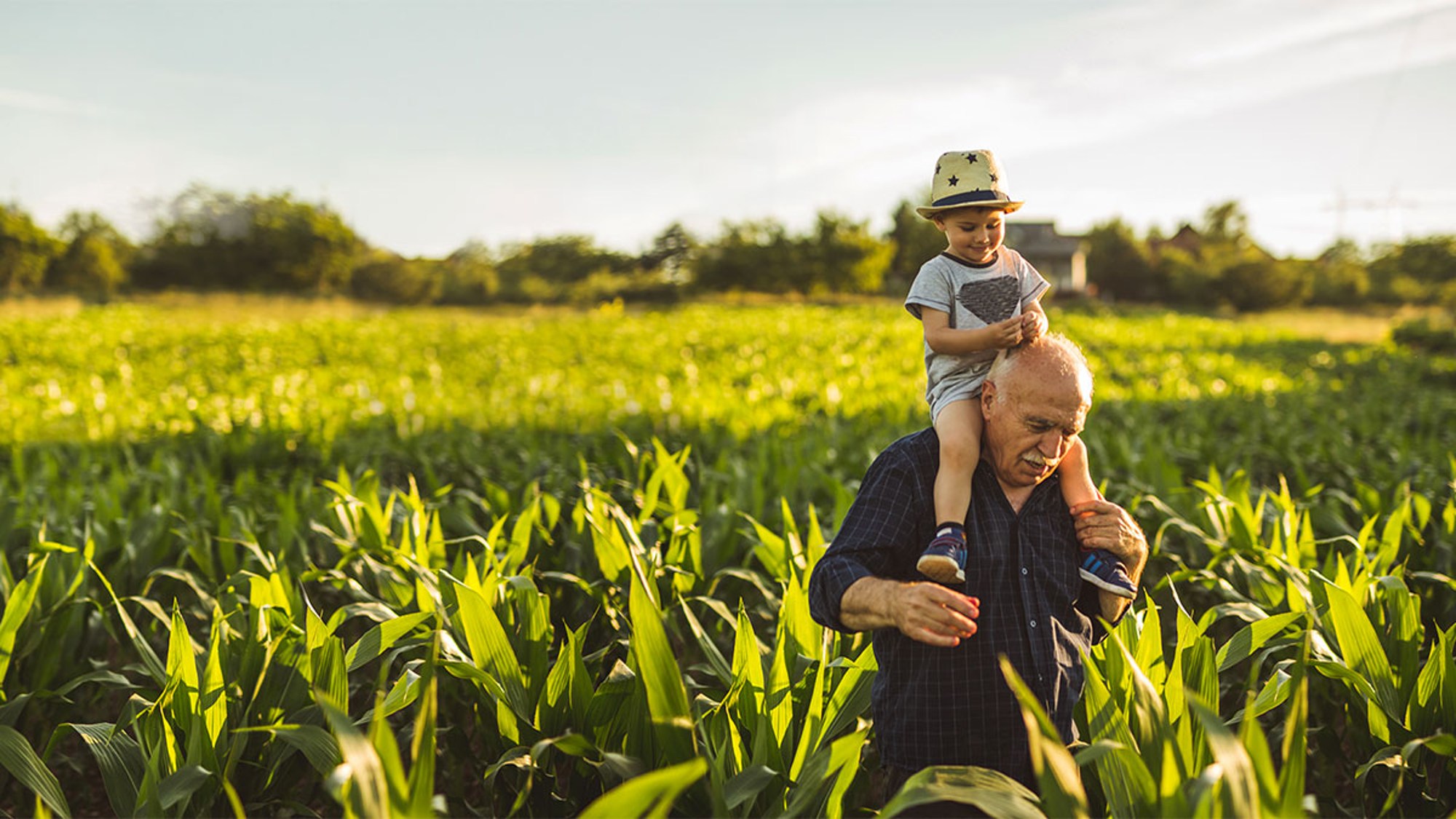 viitorul agriculturii