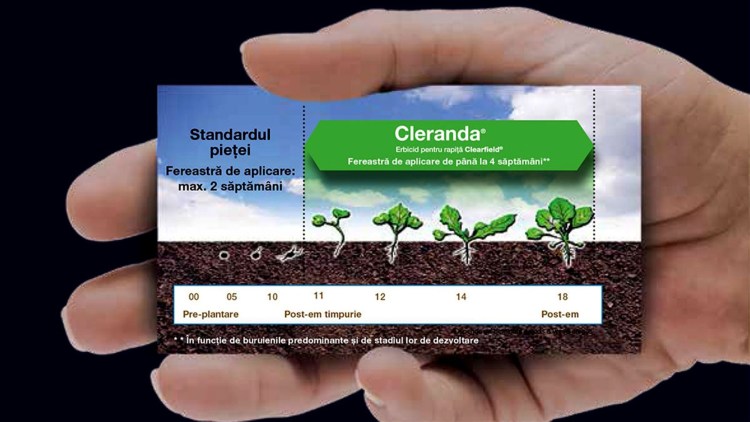 mod actiune cleranda