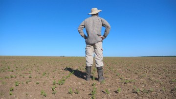 hrana faodezastru agricultura