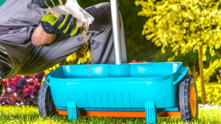 fertilizarea solului din gradina