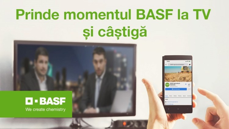 concurs basf