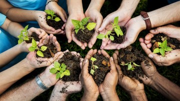 agricultura sustenabila programe