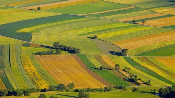 fragmentare terenuri agricole ferme