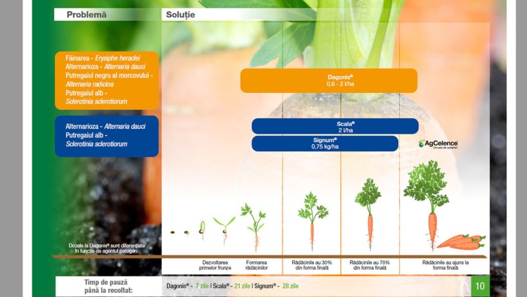 produse protectie morcovi basf