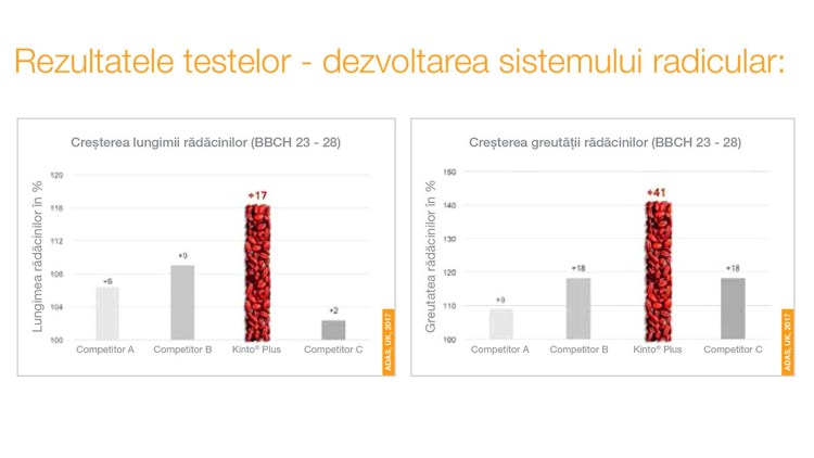 teste tratamenet seminte