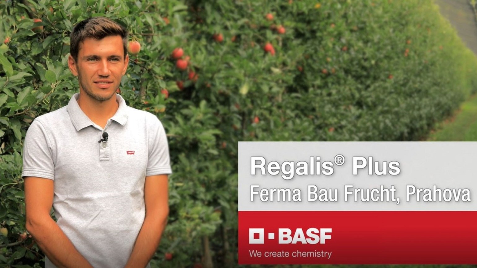 Regalis Plus Regalis Plus de la BASF - regulator de crestere pentru pomi