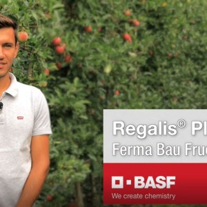 Regalis Plus Regalis® Plus - Regulator de crestere pomi fructiferi - BASF