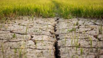 agricultura sol seceta