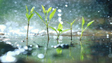 resurse durabile precipitatii agricultura