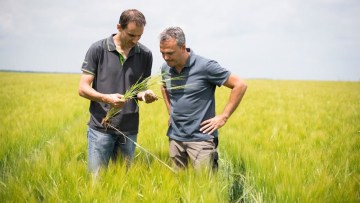 ajutor minimis pentru fermieri