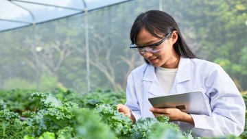 analiza plante agricultura