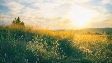 primavara pe camp lucrari agricole